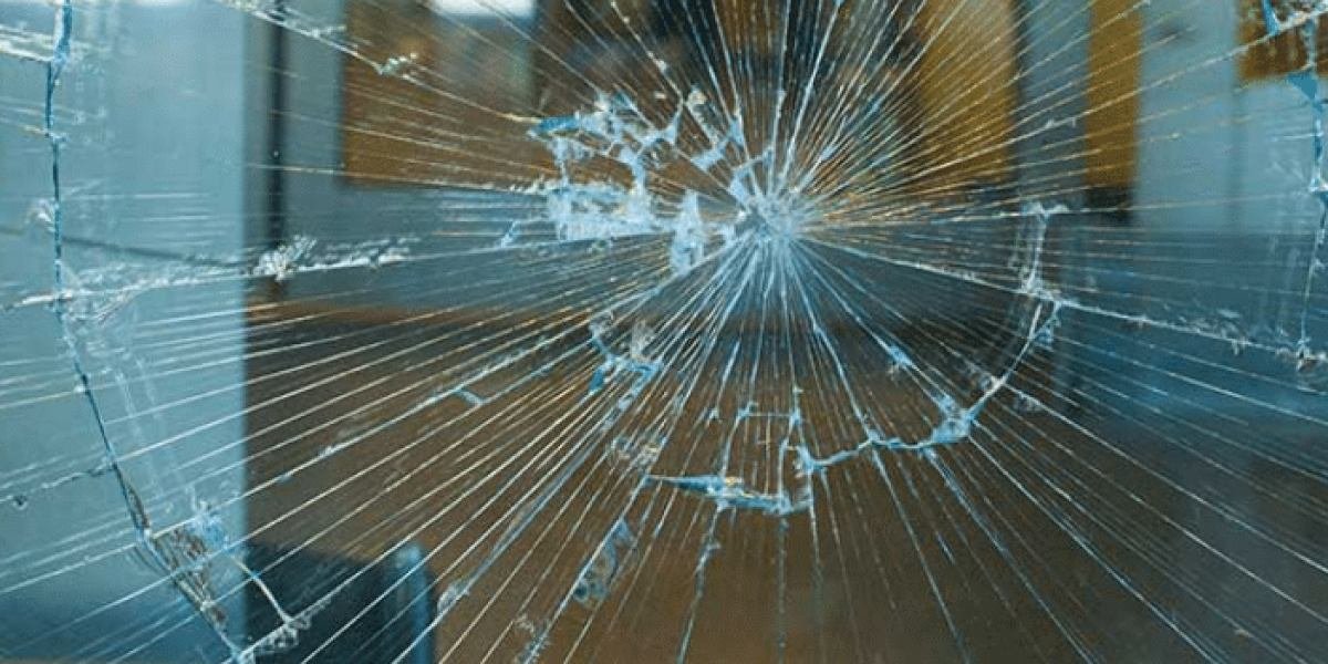 Window screen repair service